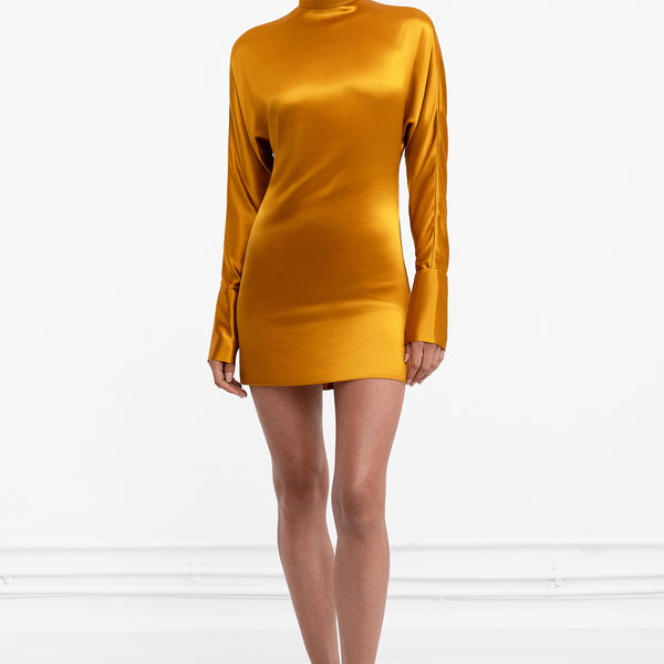 phoenix mini dress Phoenix Mini Dress